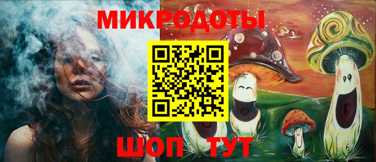 Псилоцибиновые грибы Psilocybe Назрань